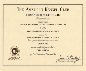 AKC Champion Certificate