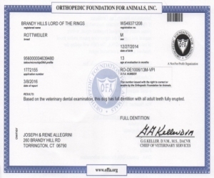 Miyagi OFA Dentition Certificate
