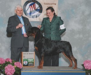 Miyagi BOW April 9, 2016 / Troy Kennel Club
